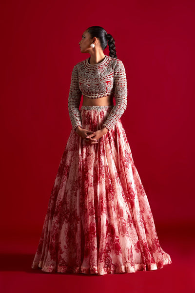 Champagne & Red Blossom Lehenga Set