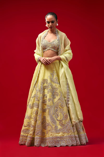 Mint Green Bold Paisley Jaal Lehenga Set