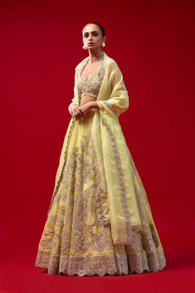 Mint Green Bold Paisley Jaal Lehenga Set