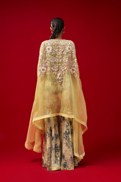 Mint & Blue Sharara Cape Set