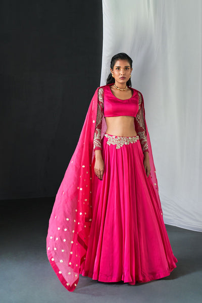 Fuchsia Ambi Jaal Embroidered Lehenga