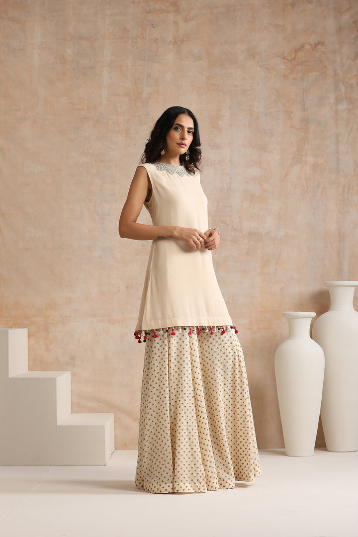 NIRVI KURTA & SHARARA SET