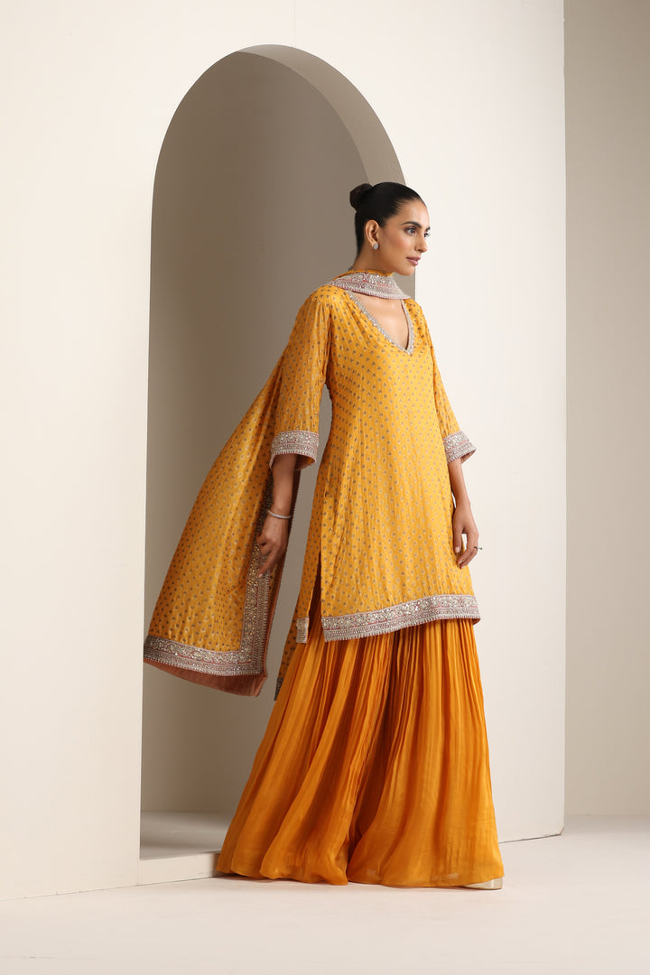 Shanaya Kurta & Sharara Set