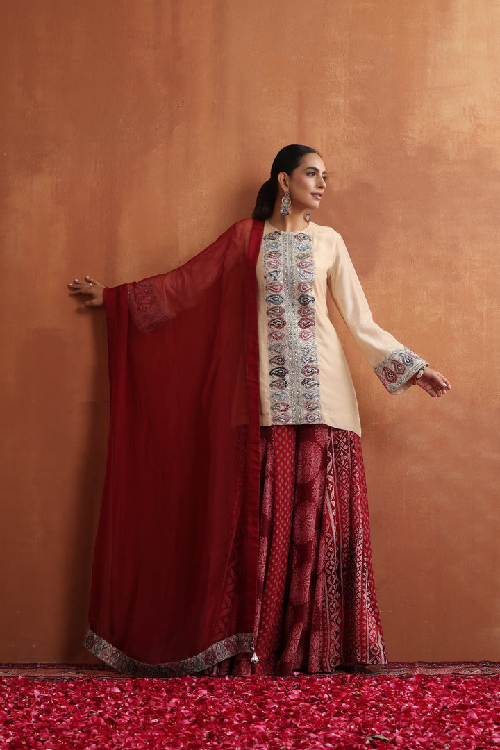 Naz Kurta & Sharara Set