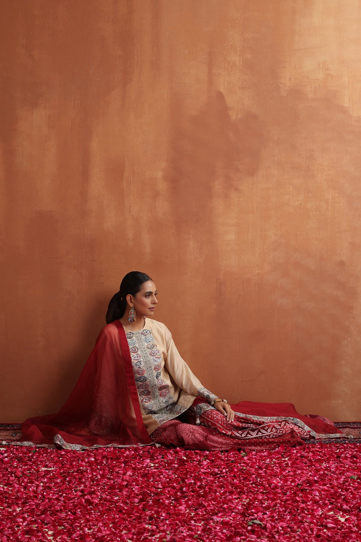 Naz Kurta & Sharara Set