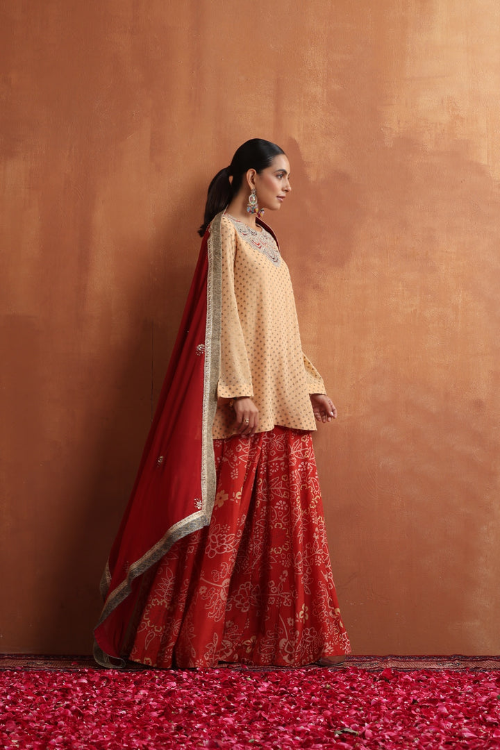 Sahar Kurta & Sharara Set