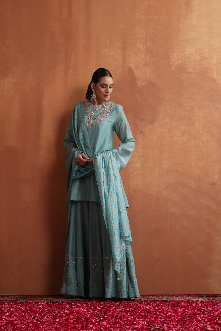 Amina Kurta & Sharara Set