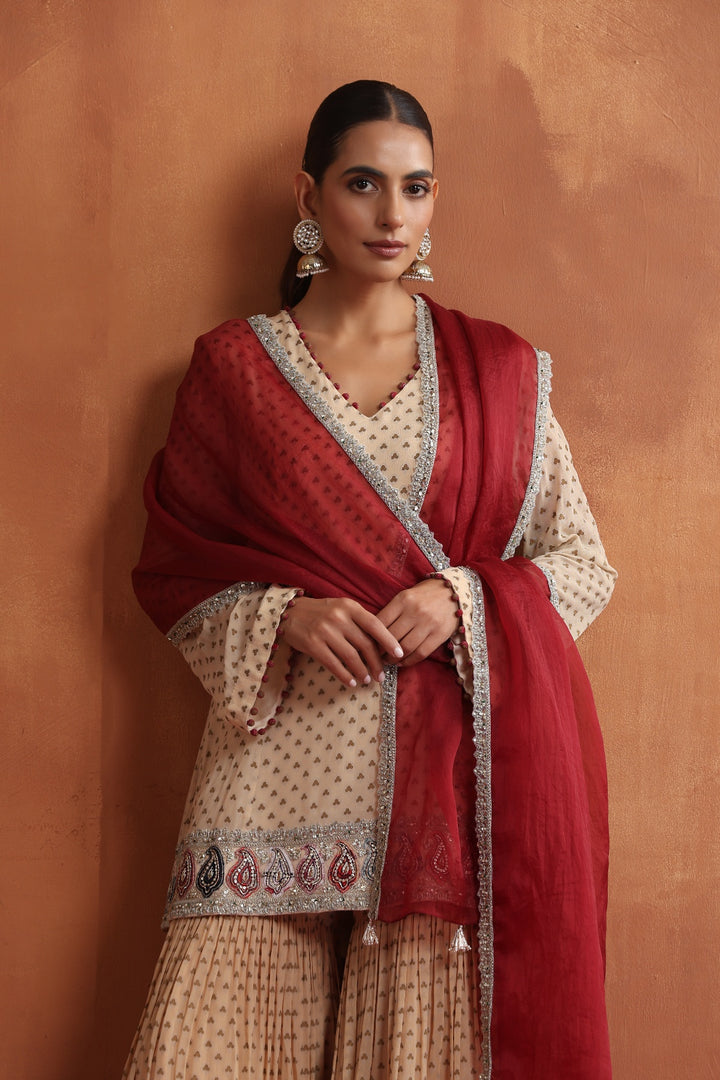 Safia Kurta & Sharara Set