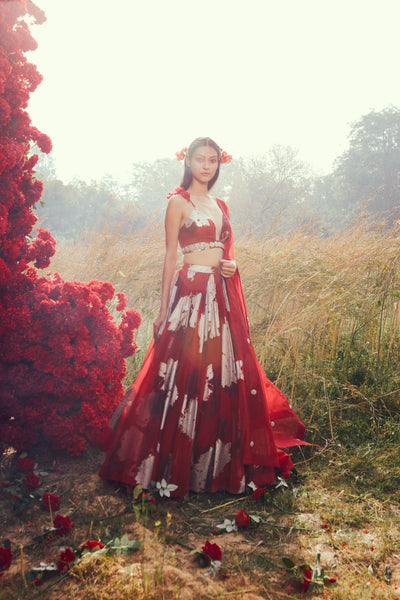 Red Dahlia Lehenga Set