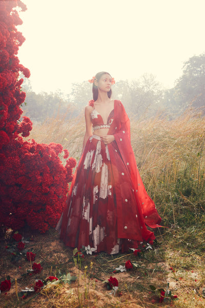 Red Dahlia Lehenga Set