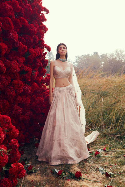 Champagne Tara Lehenga Set