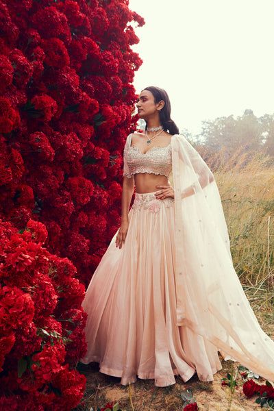 Champagne Pleated Lehenga Set