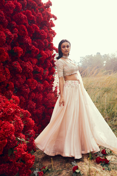 Champagne Pleated Lehenga Set
