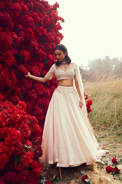 Champagne Pleated Lehenga Set