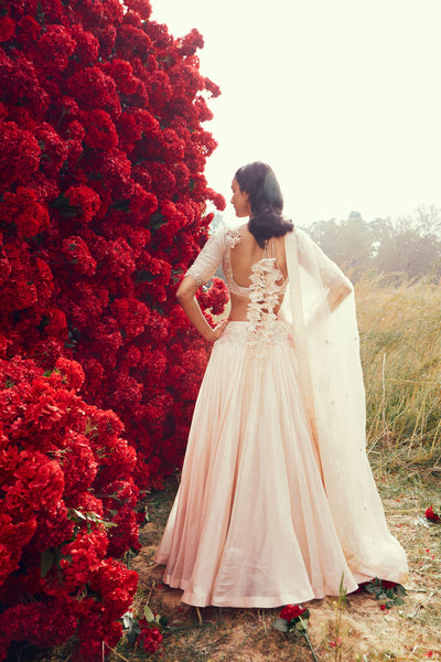 Champagne Pleated Lehenga Set