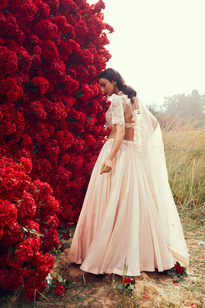 Champagne Pleated Lehenga Set