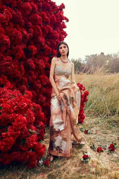 Nude Dahlia Saree