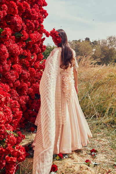 Champagne Organza Belted Anarkali Set