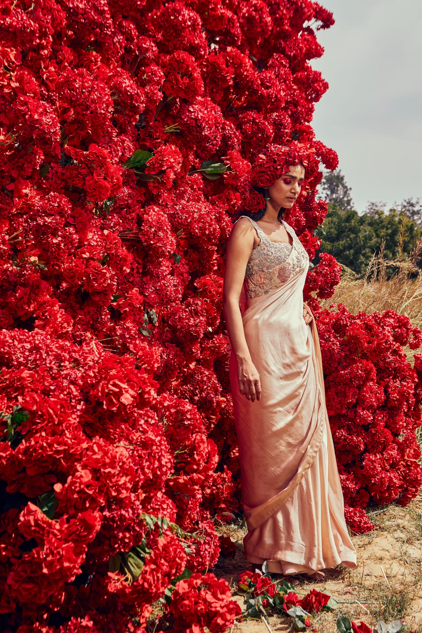 Champagne Floral Saree