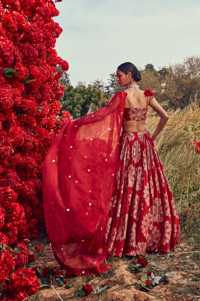 Red Tara Print Lehenga Set