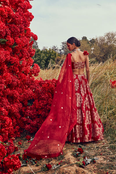 Red Tara Print Lehenga Set
