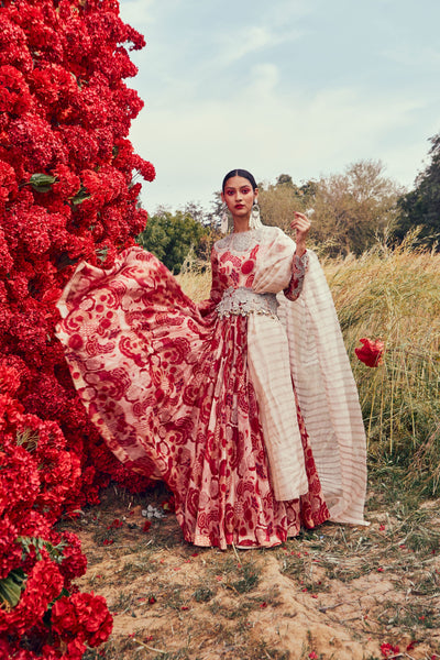 Bahaar Circle Emroidered Anarkali
