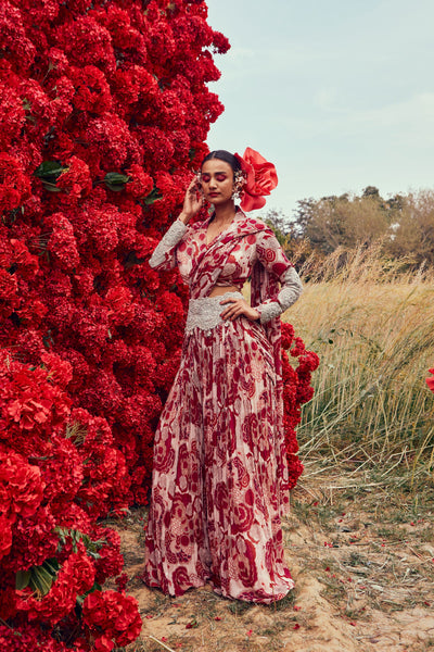 Bahaar Palazzo Saree