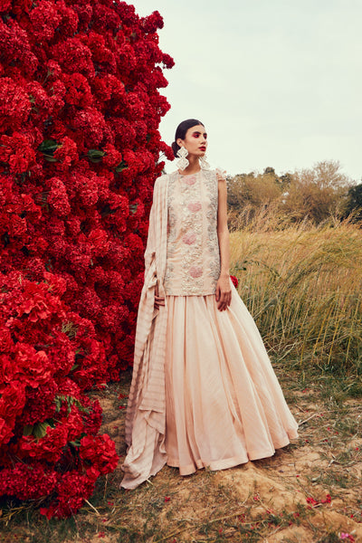 Champagne Embroidered Kurta & Skirt Set