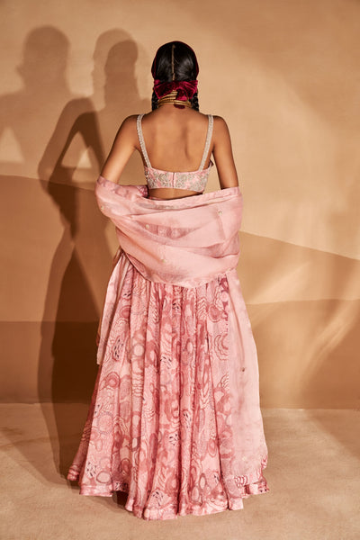 Blush Bahaar Lehenga Set