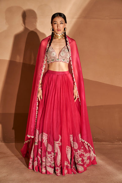 Rani Pink Ambi Jaal Lehenga Set