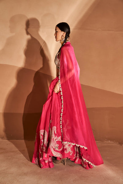 Rani Pink Ambi Jaal Lehenga Set