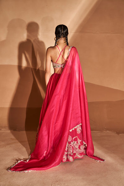 Rani Pink Ambi Jaal Lehenga Set