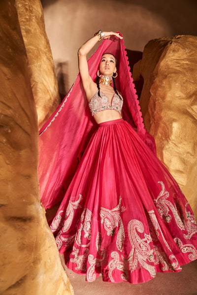 Rani Pink Ambi Jaal Lehenga Set