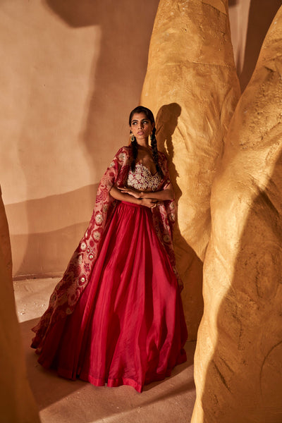 Rani Pink Skirt & Bahaar Cape Set