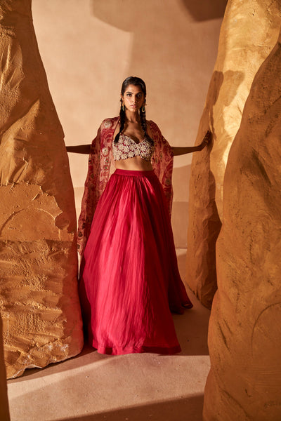 Rani Pink Skirt & Bahaar Cape Set