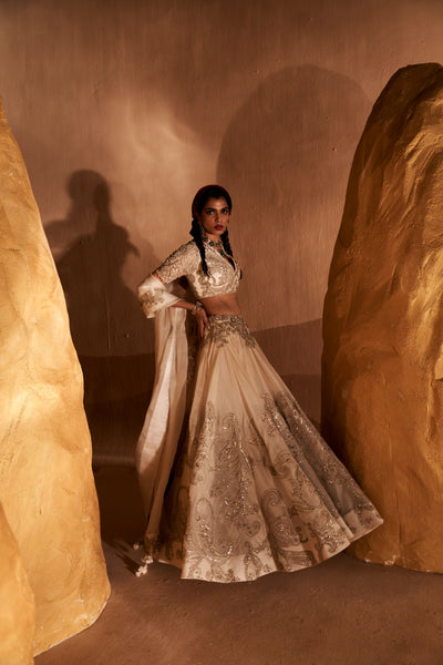 Ivory Ambi Jaal Lehenga Set