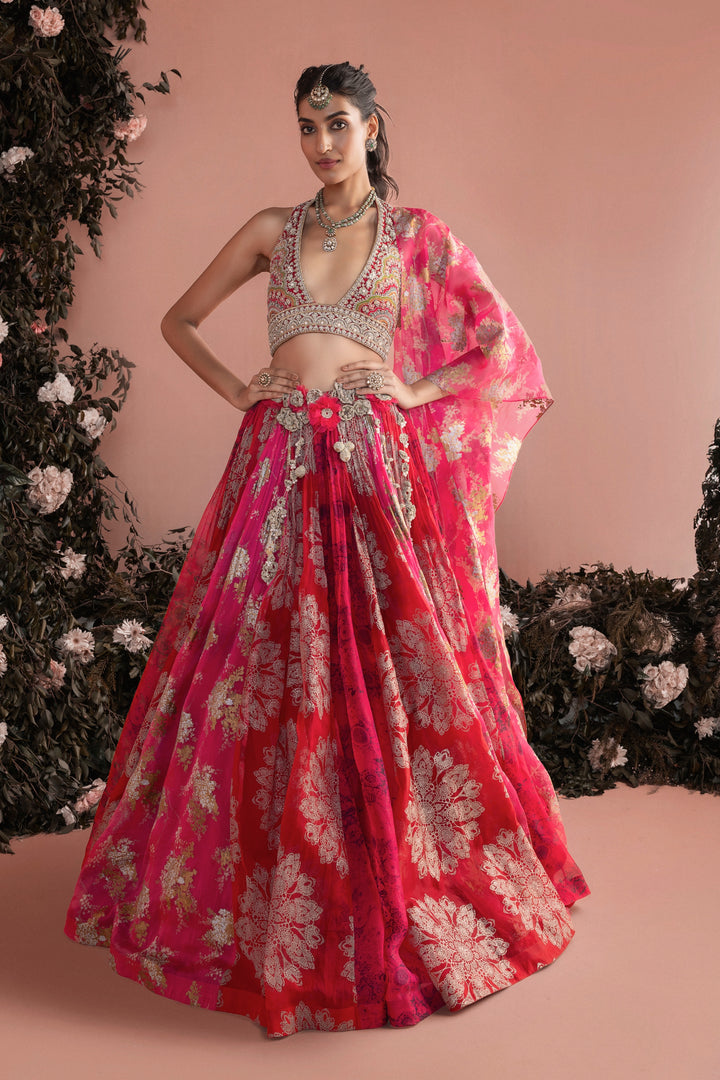 Gulnaar lehenga set