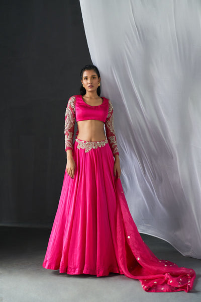Fuchsia Ambi Jaal Embroidered Lehenga