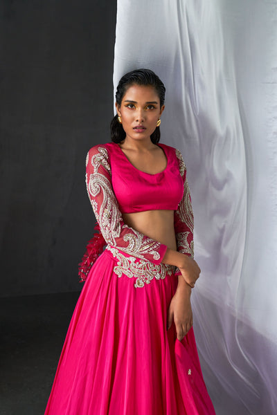 Fuchsia Ambi Jaal Embroidered Lehenga