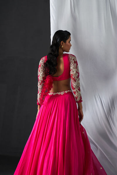 Fuchsia Ambi Jaal Embroidered Lehenga