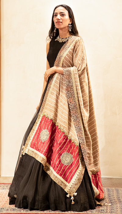 Nukta Print Embroidered Odhni