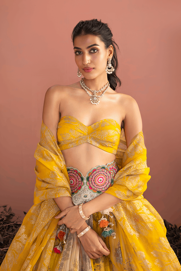 Aiba Lehenga Set