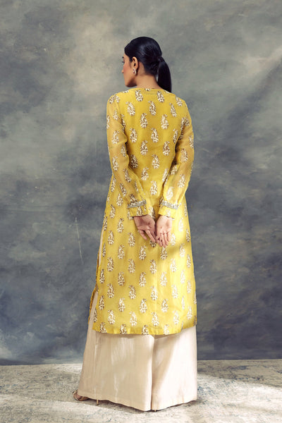 Ambi Print Long Kurta With Pallazo Pants - BHUMIKA SHARMA