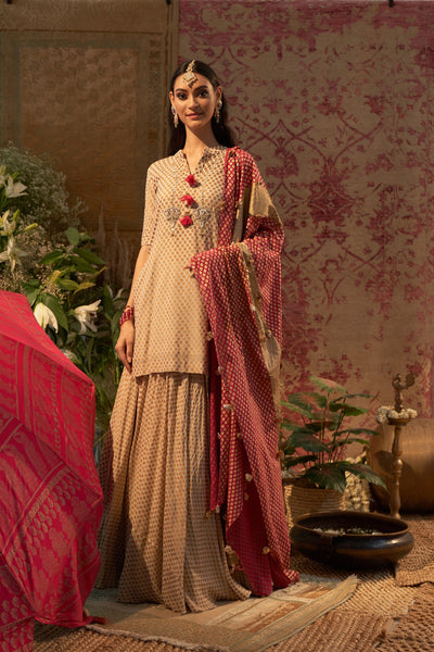 Beige Mogra Printed Embroidered Kurta & Skirt Set