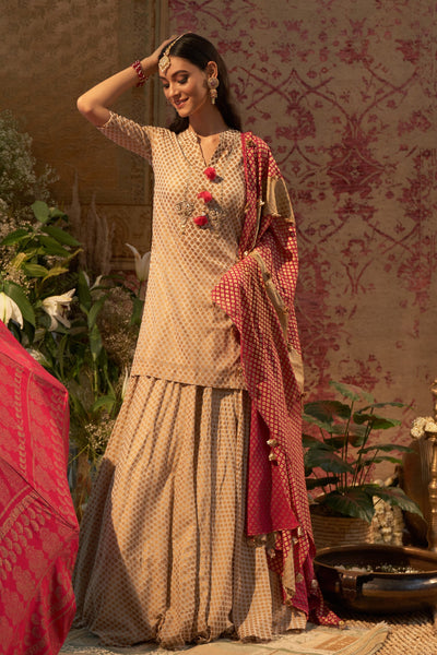Beige Mogra Printed Embroidered Kurta & Skirt Set