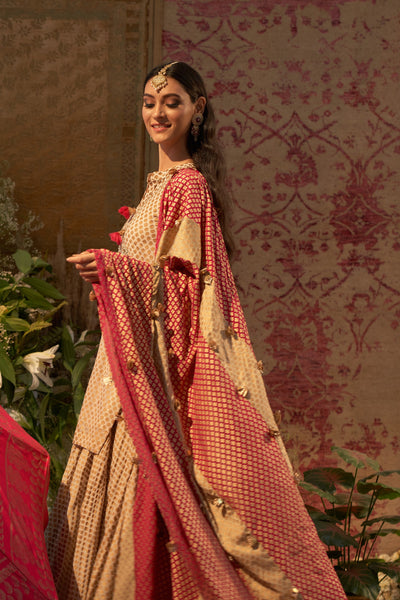 Beige Mogra Printed Embroidered Kurta & Skirt Set