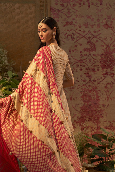 Beige Mogra Printed Embroidered Kurta & Skirt Set
