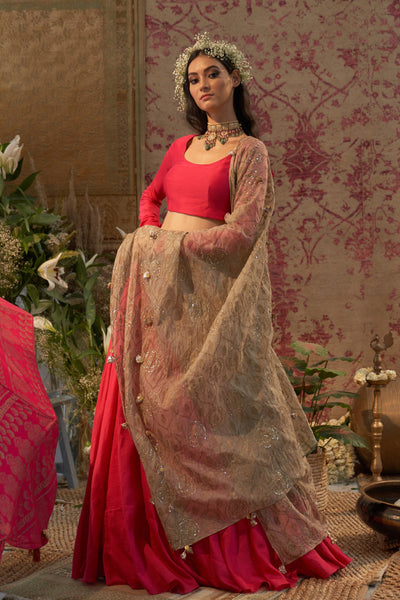Rani Pink Lehenga Set with Embroidered Odhni