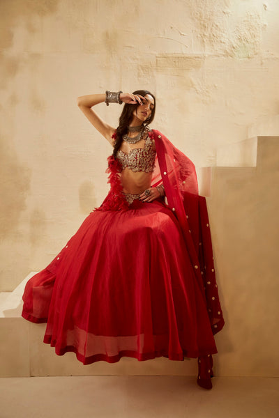 Red Ambi Jaal Lehenga