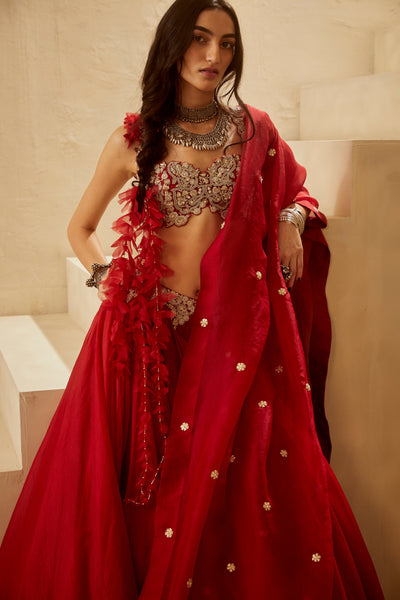 Red Ambi Jaal Lehenga